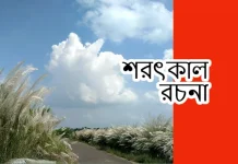 শরৎকাল রচনা